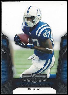 45 Reggie Wayne